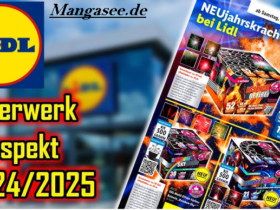 Lidl Feuerwerk