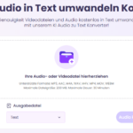 Vidnoz Audio zu Text