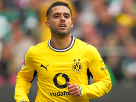 bvb news transfer