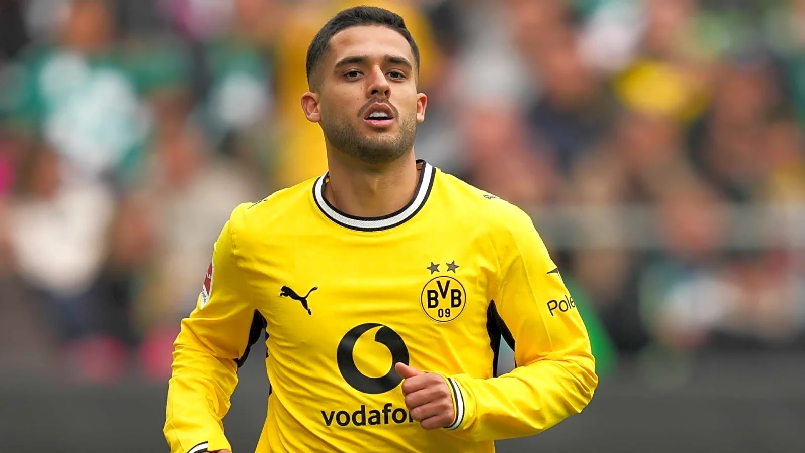 bvb news transfer