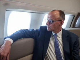 vermögen friedrich merz
