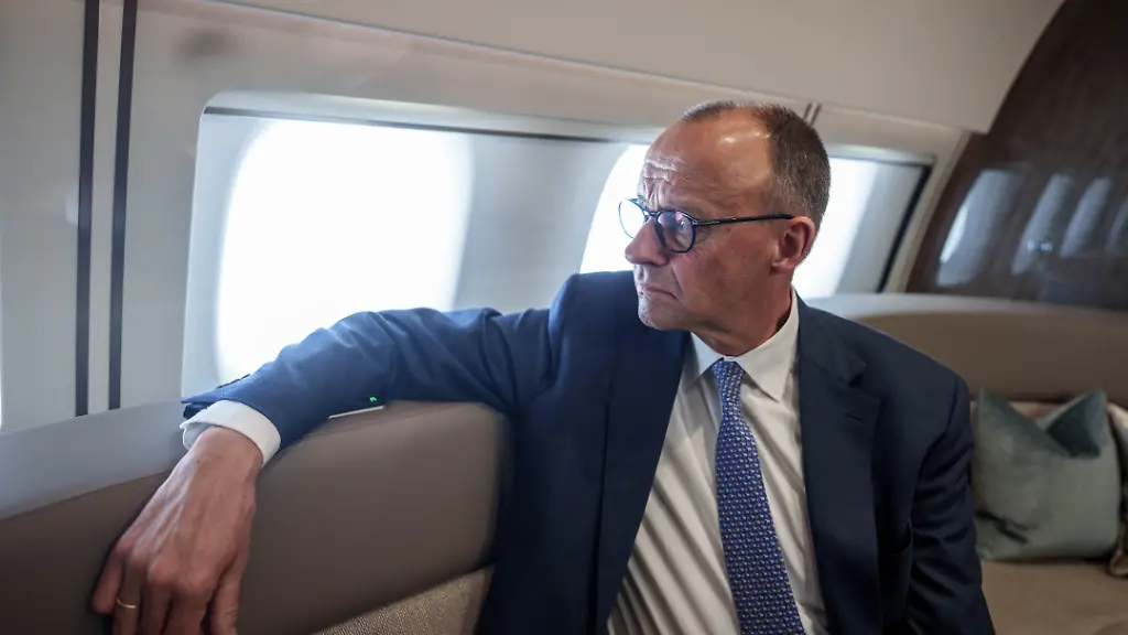 vermögen friedrich merz